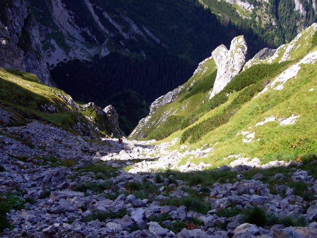 Górny fragment Kobylarzowego Żlebu