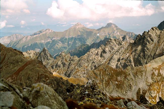 Mała Wysoka - widok na Tatry Bielskie