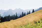 Tatry zdjęcia - Rusinowa Polana widok na Tatry Wysokie